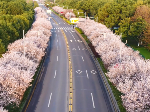 盘点“一带一路”上的918博天堂元素